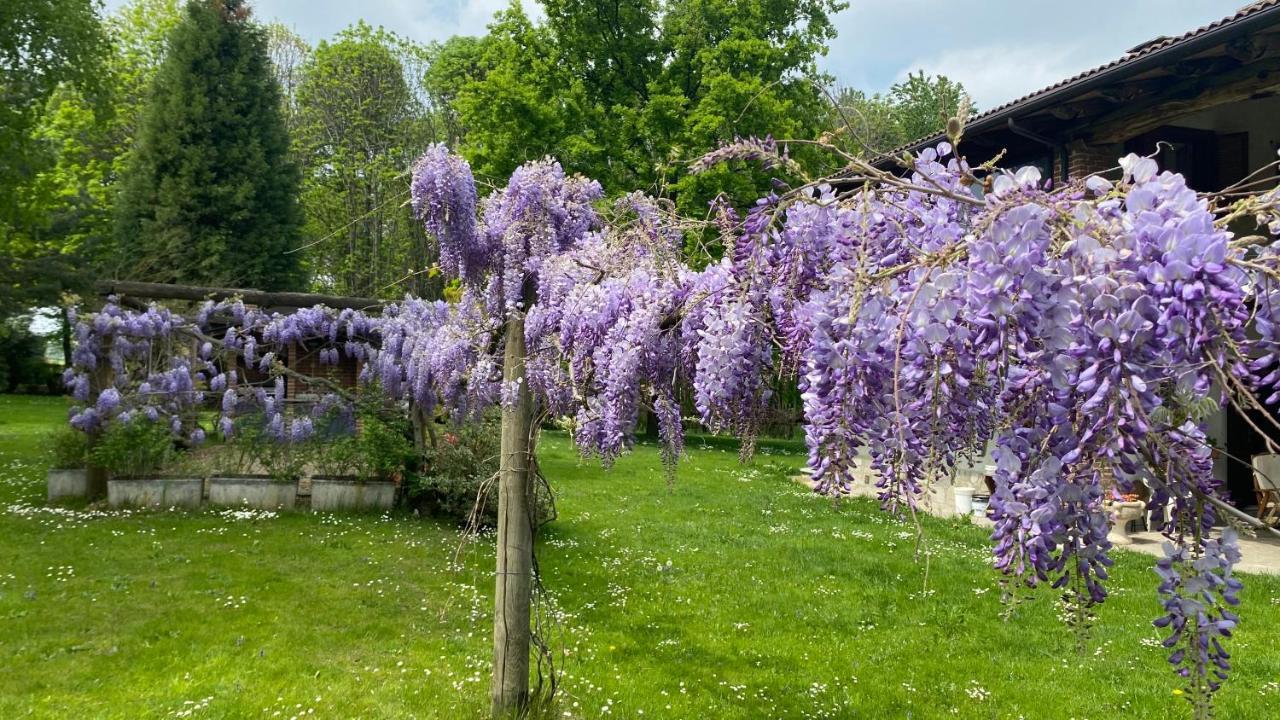 Villa Giulia - Marguareis Peveragno Exterior foto